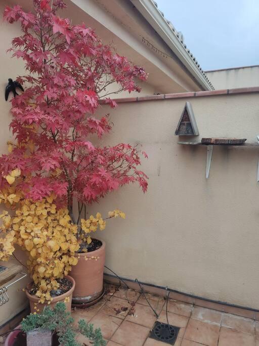Apartamento Luminoso Con Jardin La Zubia (Granada) Exterior foto